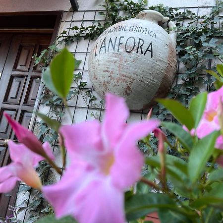 Appartement L' Anfora Locazione Turistica à Terni Extérieur photo
